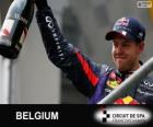 Sebastian Vettel Belçika 2013 Grand Prix zaferi kutluyor